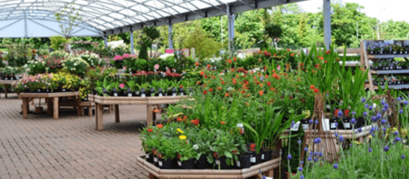 8 Impressive Ways to Growing more in Your Garden Space