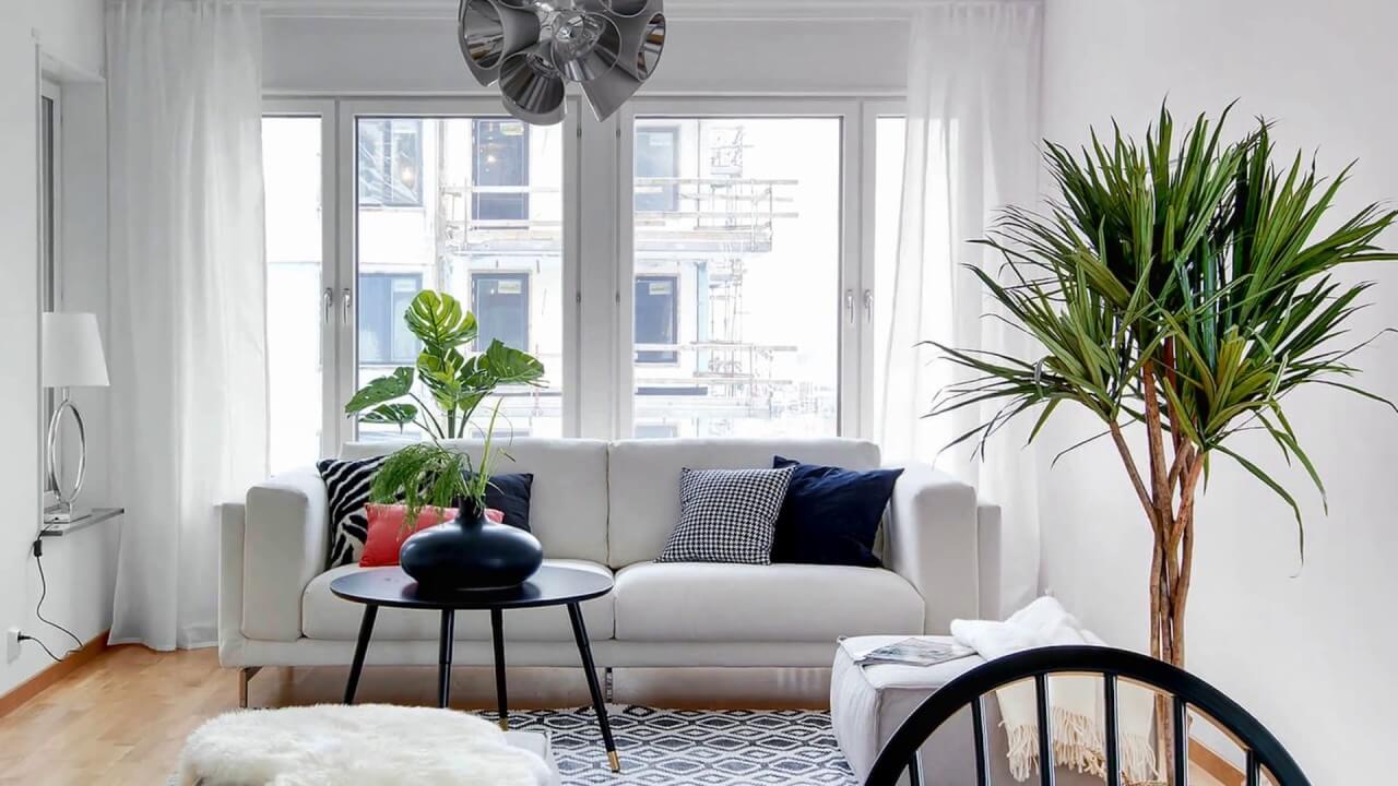 Incorporate Houseplants In Your Living Room