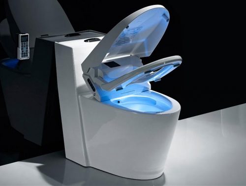 Set-Up A Smart Toilet