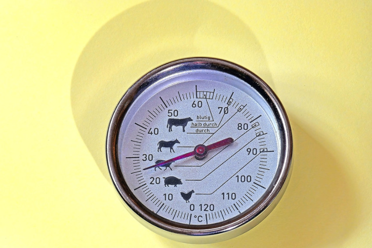 Meat Thermometer