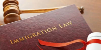 Immigration Lawyer